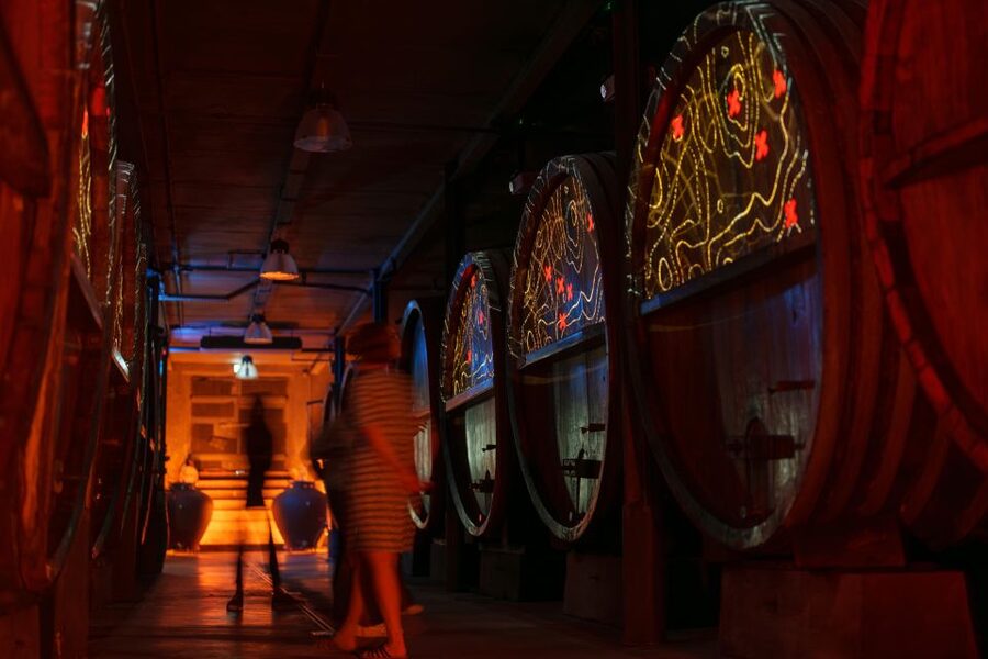Alsatian Immersive Wine Tour, Wine Tasting & wine/tea time - Price and value: what $46 buys you in practice
