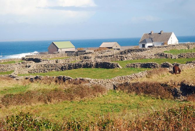 Aran Islands Bike Tour with Tea and Scones from Galway - Key things I’d plan around