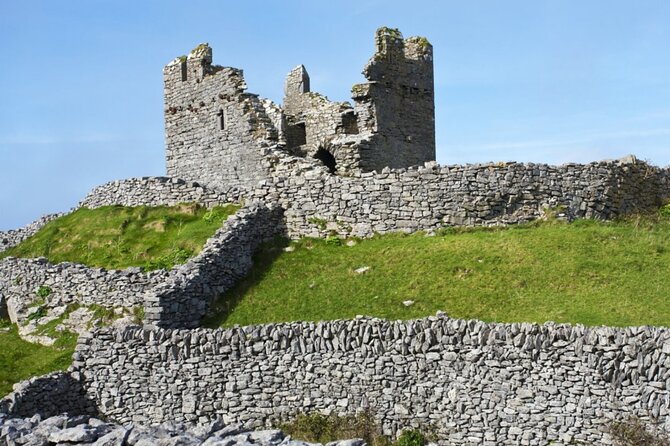 Aran Islands Bike Tour with Tea and Scones from Galway - Ferry to Inisheer: quick crossing, real island mood
