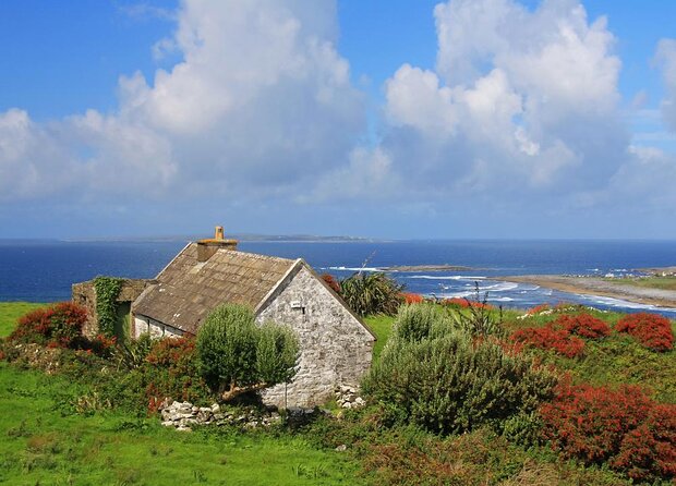 Aran Islands Bike Tour with Tea & Scones - Day Trip to Inisheer from Doolin - Key highlights you’ll actually feel during the day