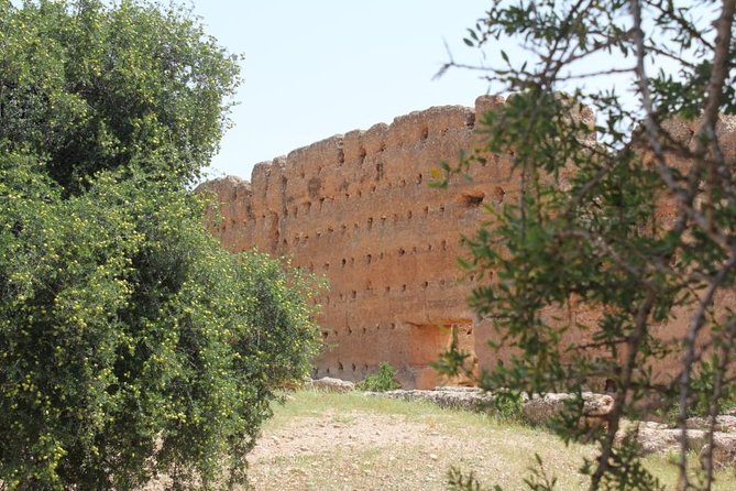 Argan Forest, tea time at a Berbers family & Visit of an Argan cooperative. - What the 3 hours 30 minutes really feels like