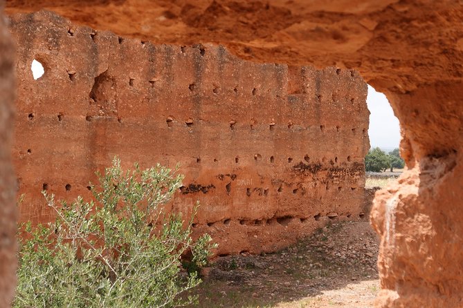 Argan Forest, tea time at a Berbers family & Visit of an Argan cooperative. - Why this tour is great value at about $52
