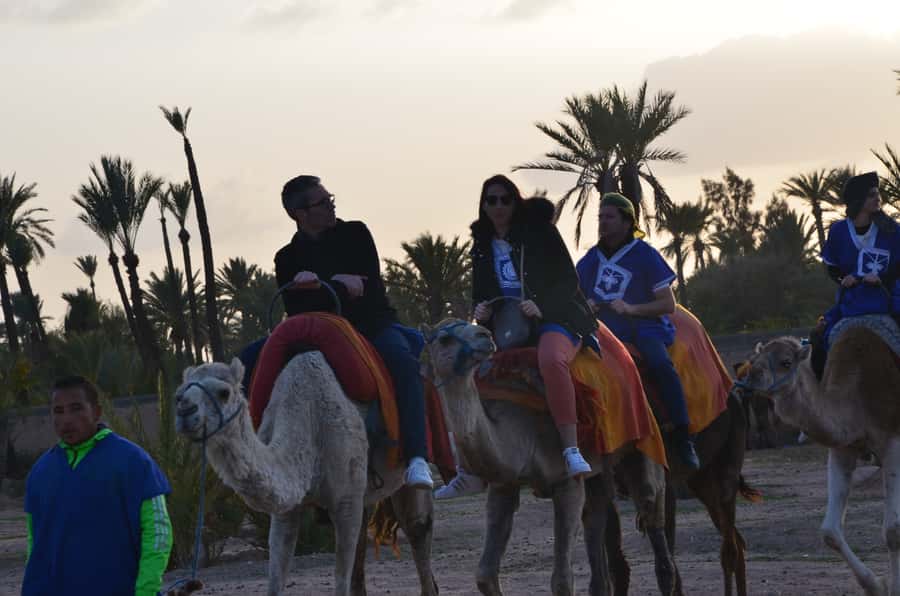 Around Marrakech: Camel Ride in Palm Groves including Tea - The tea break: Moroccan mint tea and that post-ride reset