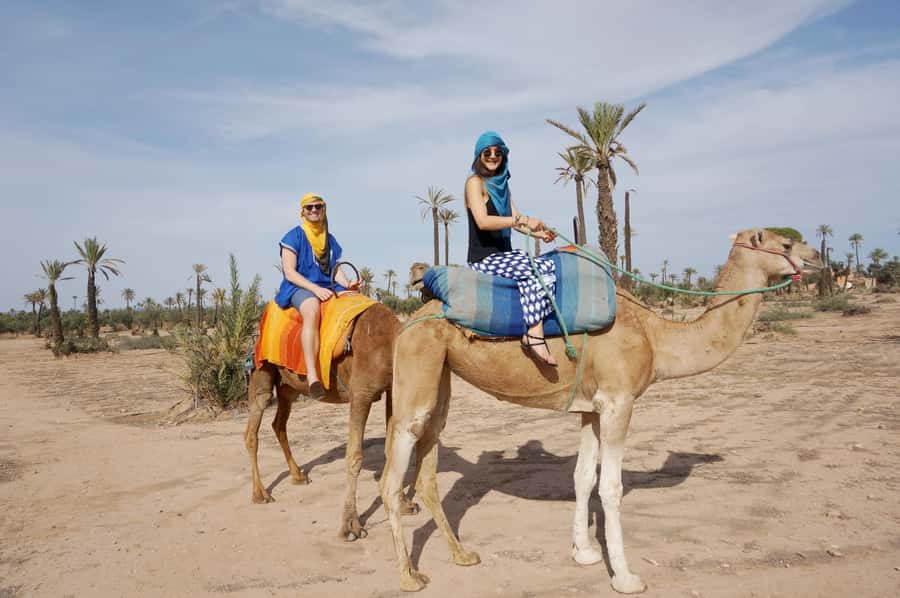 Around Marrakech: Camel Ride in Palm Groves including Tea - Optional quad bike: an extra 2 hours of adrenaline