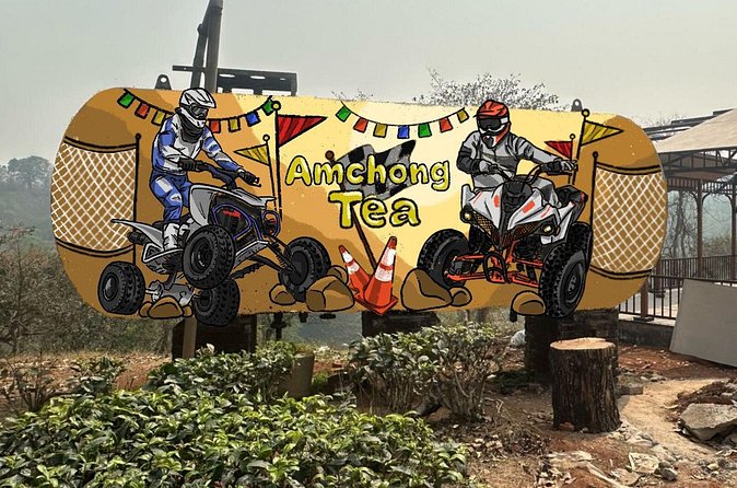 ATV RIDE at Amchong Tea Estate - Safety and comfort: bumps, pace, and what to bring