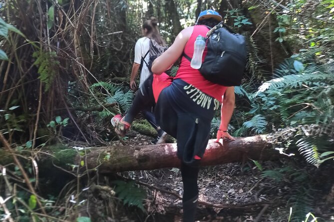 Bandung Tour Volcano, Hotsprings, Mud, Tea, Lunch all Included - Stop 1: White Crater (Kawah Putih) and the quick uphill payoff