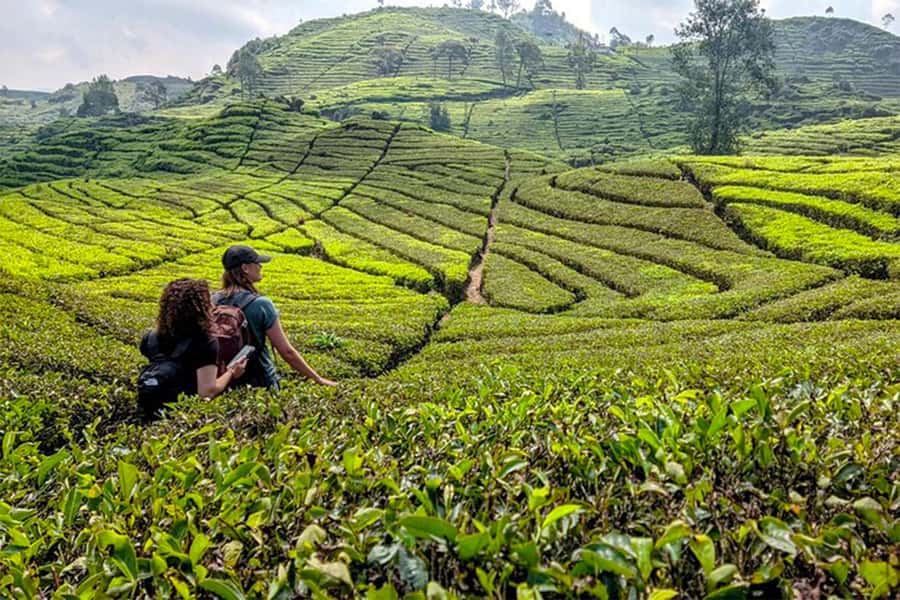 Bandung: White Crater, Scenic Tea Plantations & Hot Spring - Rengganis Crater: more dramatic geology, less pressure