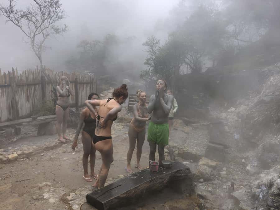 Bandung: White Crater, Scenic Tea Plantations & Hot Spring - Tea plantations near Bandung: where the day turns from drama to calm