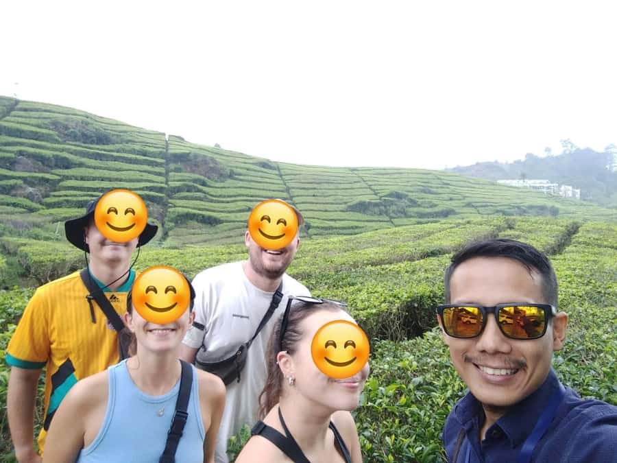 Bandung : White Crater, Tea Plantation Tour Guide Bandung - Kawah Putih (White Crater): the main event with a guided edge