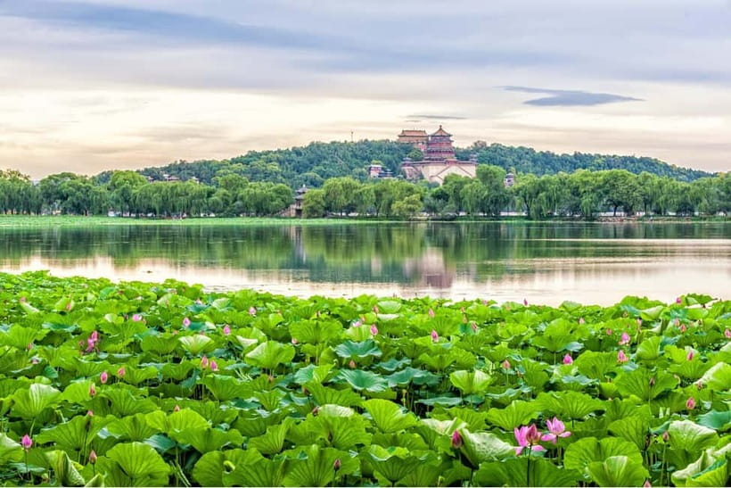 Beijing: Chinese Culture Tea Ceremony Reservation Service - Price and Value: The $7 Reservation Fee vs Real Tea Spending