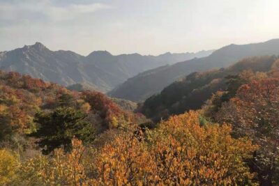 Beijing: Mutianyu Great Wall and Tea House Private Tour - Tea House Stop: A Traditional Ceremony With Six Types of Tea