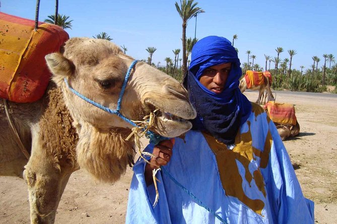 Best Sunset Camel Ride with tea break in the Palm Grove of Marrakech - Price and value: $29.43 for a guided, equipped evening