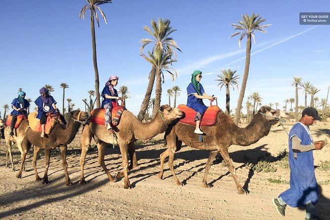 Best Sunset Camel Ride with tea break in the Palm Grove of Marrakech - What could be a drawback for some people
