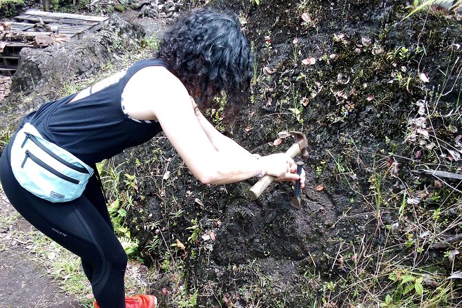 Big Island Jungle Tour with Guava Green Tea - Key highlights at a glance