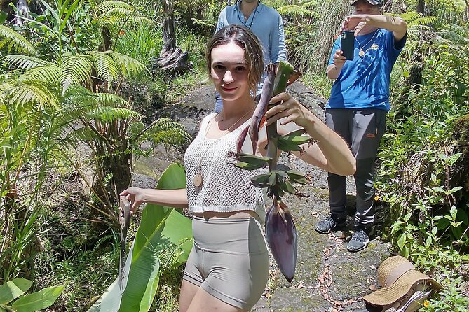 Big Island Jungle Tour with Guava Green Tea - Walking into Paradise Unplugged on Big Island
