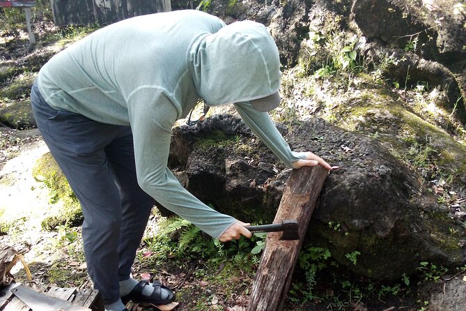 Big Island Jungle Tour with Guava Green Tea - Price and what $75 is really buying you