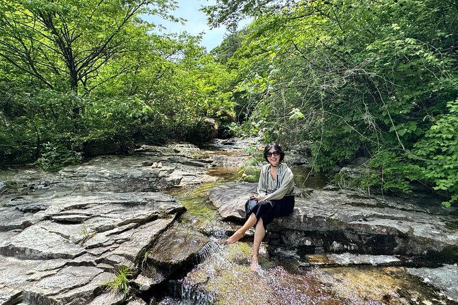 Boseong Tour : Green Tea Field, Mountain & Lake Trail (Private) - Leaving Gwangju at 9:30 and getting to the good stuff fast
