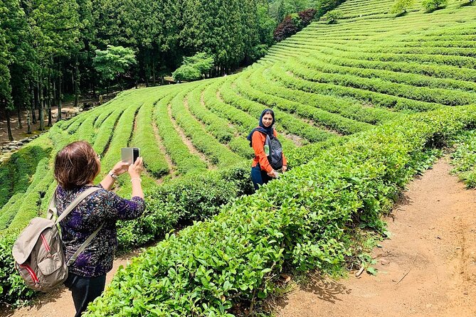 Boseong Tour : Green Tea Field, Mountain & Lake Trail (Private) - Choroo Vinegar Park: naturally fermented vinegar drinks with a view