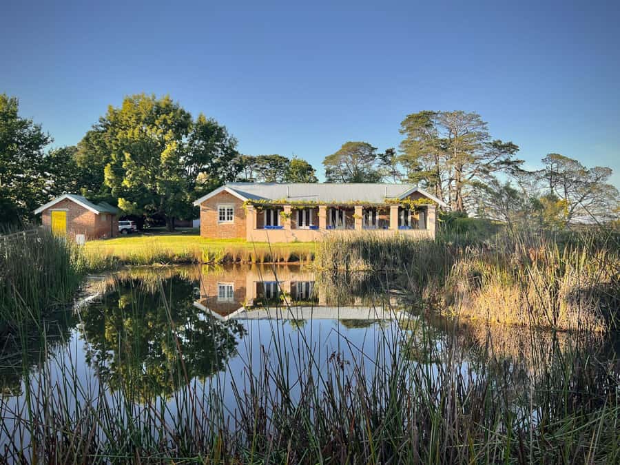 Bowral Honey Farm Tour, Honey Tasting & morning Tea - Guided beekeeping walk: how a hive works in real life
