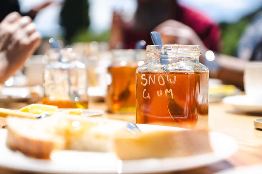 Bowral Honey Farm Tour, Honey Tasting & morning Tea - Flow Hive demonstration: understanding modern honey harvesting