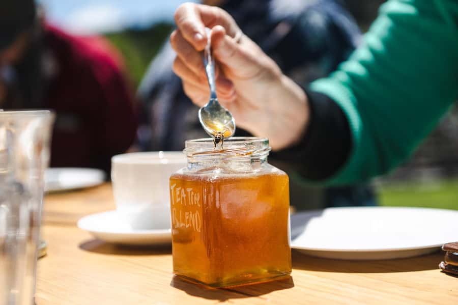 Bowral Honey Farm Tour, Honey Tasting & morning Tea - Who this tour suits best (and who should think twice)