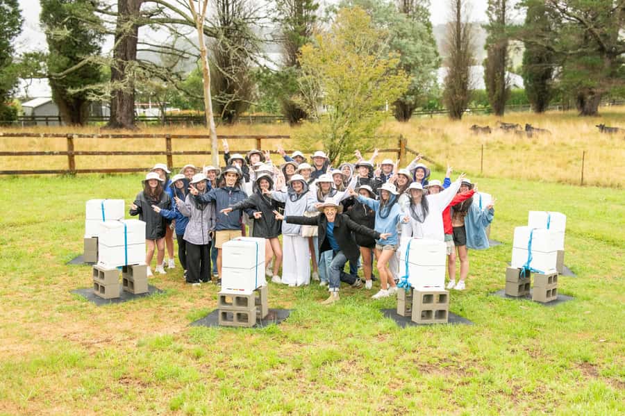 Bowral Honey Farm Tour, Honey Tasting & morning Tea - Should you book Bowral Honey Farm Tour?