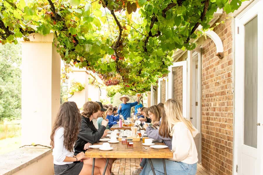Bowral Honey Farm Tour, Honey Tasting & morning Tea - Safety briefing and the veil: watching bees without the stress