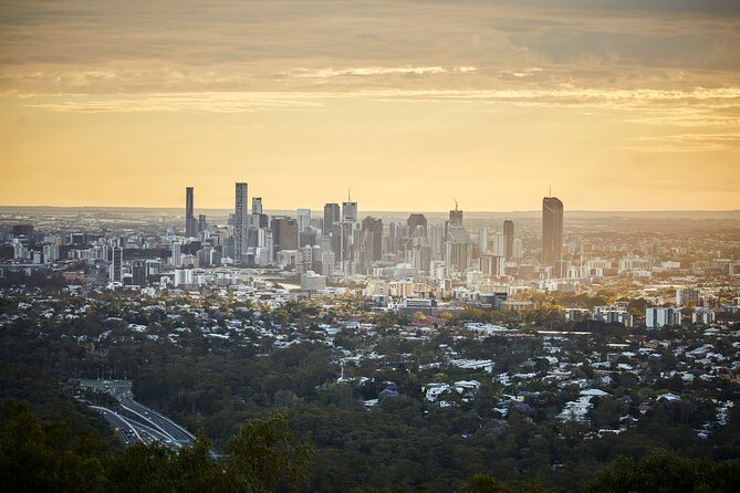 Brisbane Bus Tour: Max 10 people | Half Day | Morning tea inc. - Morning tea on the schedule: included, practical, and actually useful