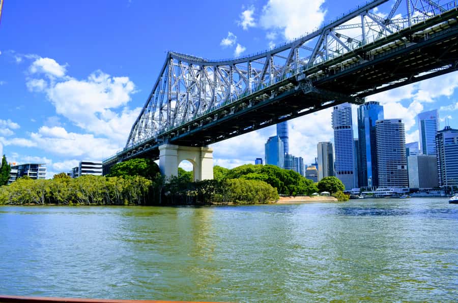 Brisbane: Morning Sightseeing Cruise: 10:30am-12pm (90min) - Morning Tea That Makes It Worth Waking Up