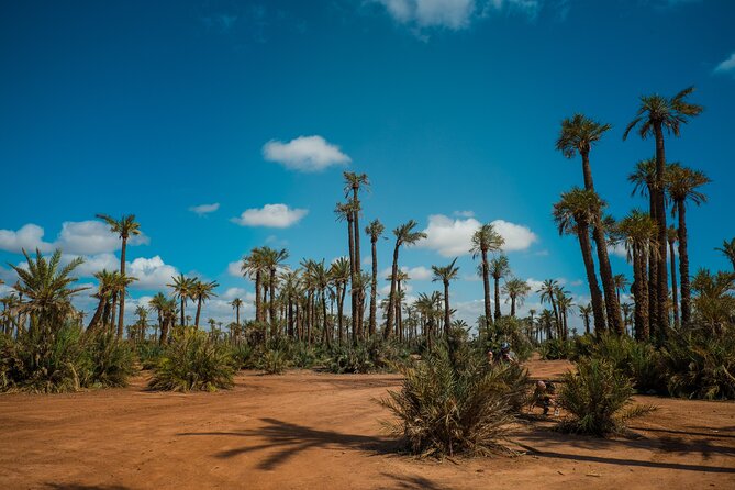 Camel Ride and Quad Biking with fresh mint Tea - Price and Value: Is $93 Worth It