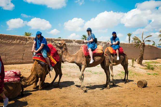 Camel Ride and Quad Biking with fresh mint Tea - The Camel Trek to a Village: What the Route Changes for You