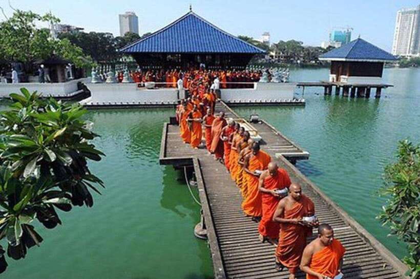 Ceylon Tea Experience from Colombo Port Passenger Terminal - Tea Plucking and Village Life: What You Can Expect (and What You Might Want)
