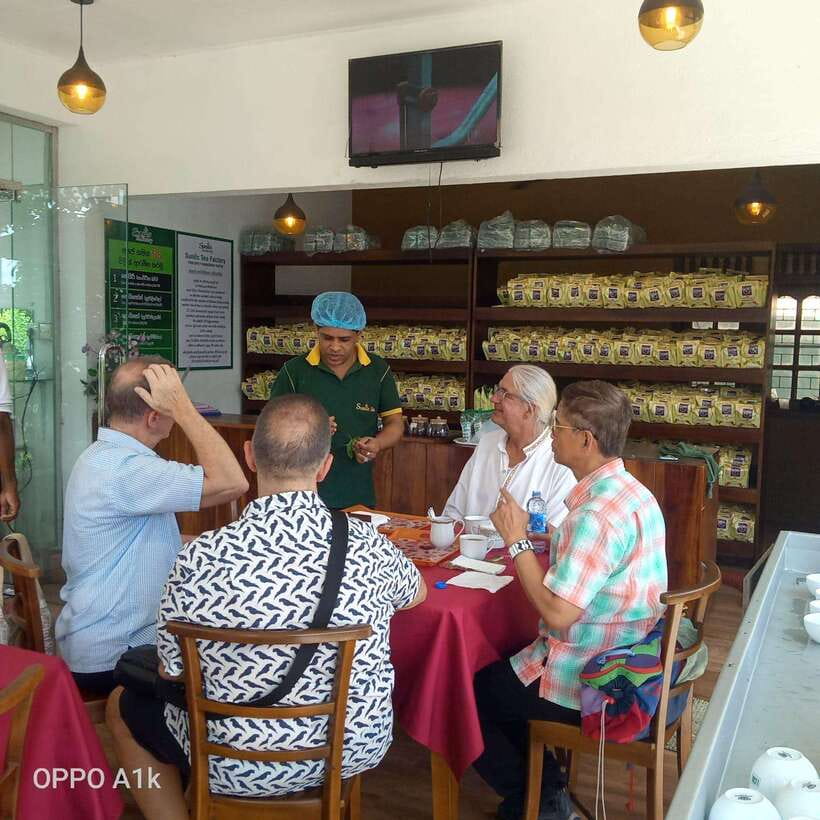Ceylon Tea Experience from Colombo Port Passenger Terminal - People, Comfort, and the Road: Who This Tour Suits Best