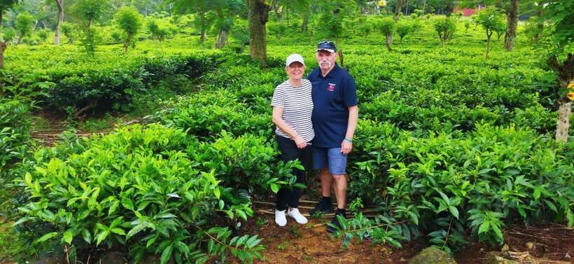 Ceylon Tea Experience from Colombo Port Passenger Terminal - Rayigam Tea Factory: Photos, Walks, and the Tea-Making Story