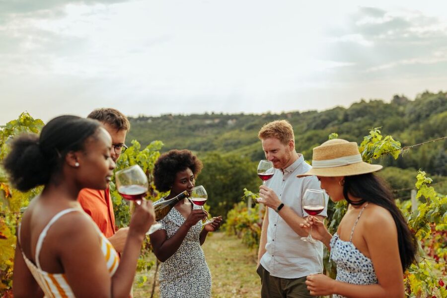 Charleston: Wadmalaw Island Wine Tasting and Tea Garden Trip - Angel Tree Park: the 500-year-old Angel Oak and a focused photo window