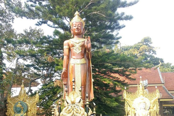 Chiang Mai Private Tour with Tea Plantation, Karen Village, Doi Suthep - Bai Orchid and Butterfly Farm: Lunch With a Real Atmosphere