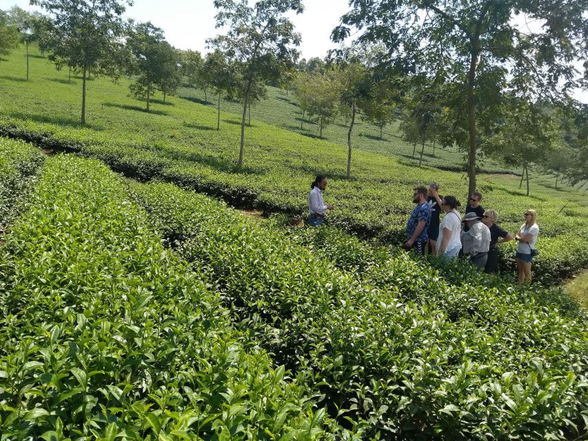 Coffee - Wine - Tea Da Lat's Agricultural Treasures Tour - Lam Vien Square and Da Lat’s iconic religious architecture
