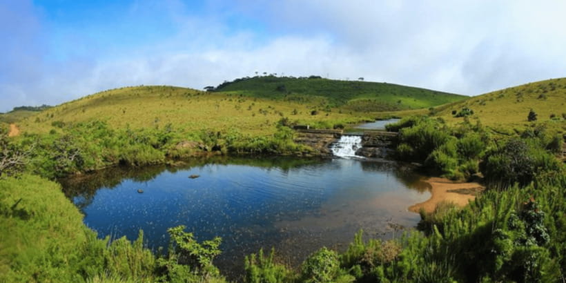 Comprehensive Excursion: Horton Plains and Pedro Tea Factory - Lunch at a local restaurant: included, planned, and worth checking
