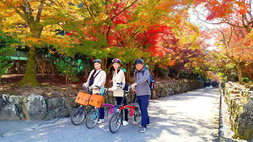 Cycling Tour at Uji's Matcha Green Tea Fields and Heritage - Getting started at the Tea Jar post (and what the navigator really adds)