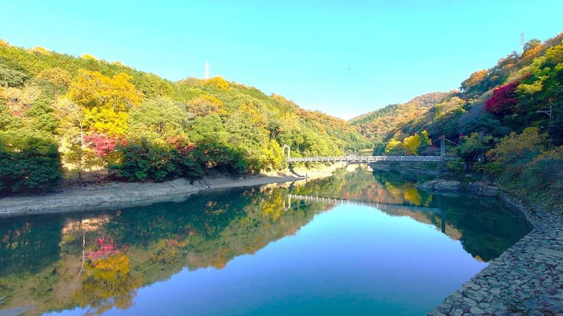 Cycling Tour at Uji's Matcha Green Tea Fields and Heritage - The Chazuna tea start: setting the tone before the shrines
