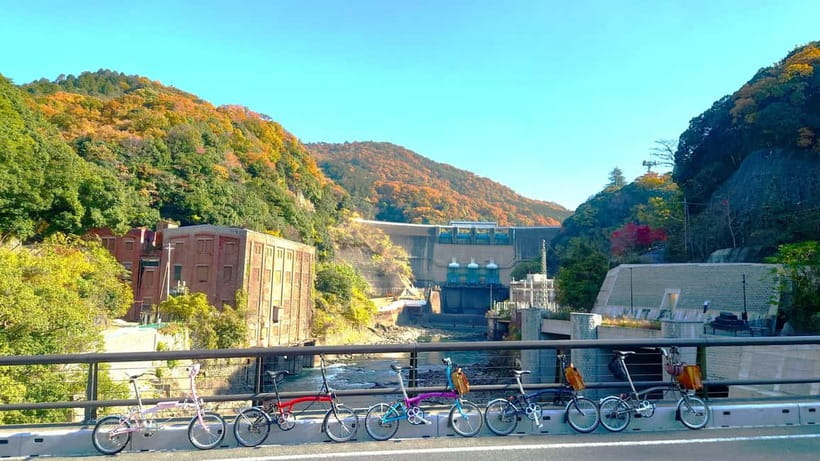 Cycling Tour at Uji's Matcha Green Tea Fields and Heritage - Tō-no-shima Island: the scenic pause that makes the ride feel complete