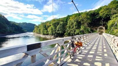 Cycling Tour at Uji's Matcha Green Tea Fields and Heritage - Shrine hopping at a human pace: Uji Shrine and Ujigami Shrine