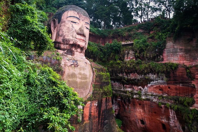 Day tour Chengdu Panda Base Leshan Giant Buddha with local Lunch - Price and value: what $130 per person really covers
