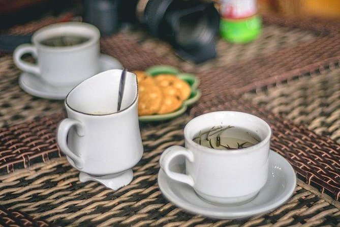 Day Tour To Kiambethu Tea Farm in Limuru - Gardens, birds, and that calm in-between time