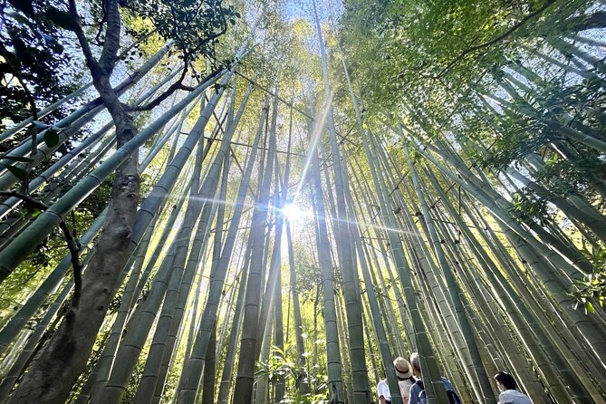 Day Trip to Kamakura & Enoshima: Shrines, Seaside, Temples & Tea - Kotoku-in and the Great Buddha: the must-see, done with planned time