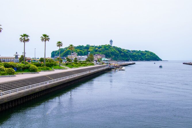 Day Trip to Kamakura & Enoshima: Shrines, Seaside, Temples & Tea - Comfort, pacing, and what to pack for an 11-hour day