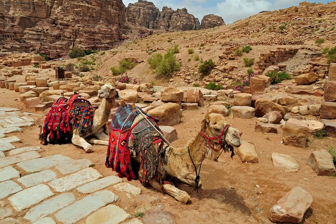 Desert Sunset Camel Ride With Free Tea in The Desert Camp - Dinner Under the Stars and the Back-at-21:00 Schedule