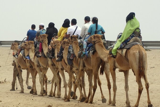 Desert Sunset Camel Ride With Free Tea in The Desert Camp - Price and Value: Is $234.91 a Good Deal?