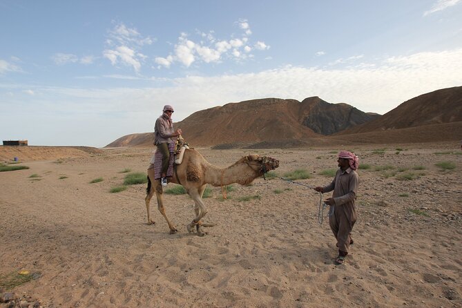 Desert Sunset Camel Ride With Free Tea in The Desert Camp - Who This Tour Suits Best (and Who Might Not)