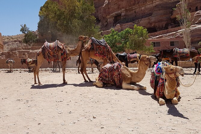 Desert Sunset Camel Ride With Free Tea in The Desert Camp - Should You Book This Agafay Sunset Camel Ride?